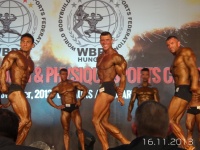5th-wbpf-world-bodybuilding-physique-sports-championships-2013_8
