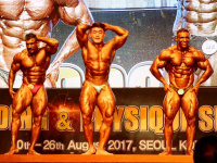 51st-asian-bodybuilding-physique-sports-championships_2017_005