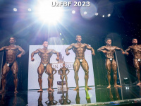 proform-classic-bodybuilding-2023-uzfbf_00028