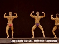 championship_uzbekistan_on_bodybuilding_and_fitness_2016_00222