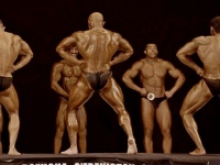 championship_uzbekistan_on_bodybuilding_and_fitness_2016_00464