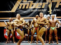 28-th_world_championship_bodybuilding_and_fitness_2017_wff-wbbf_0019
