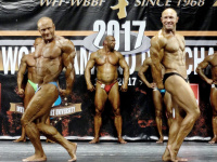 28-th_world_championship_bodybuilding_and_fitness_2017_wff-wbbf_0035