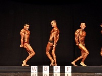 uzbekistan-bodybuilding-championships-2013_199