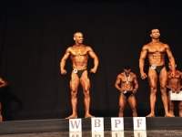 uzbekistan-bodybuilding-championships-2013_306