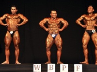 uzbekistan-bodybuilding-championships-2013_450