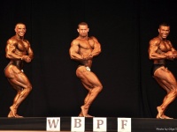 uzbekistan-bodybuilding-championships-2013_497