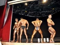 uzbekistan-bodybuilding-championships-2013_505