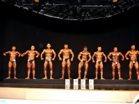 uzbekistan-bodybuilding-championships-2013_551