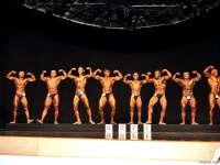 uzbekistan-bodybuilding-championships-2013_556