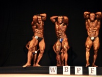 uzbekistan-bodybuilding-championships-2013_566