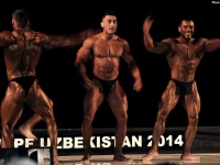 championship_uzbekistan_on_bodybuilding_and_fitness_2014_wbpf_008