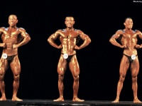 championship_uzbekistan_on_bodybuilding_and_fitness_2014_wbpf_130