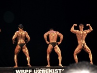 championship_uzbekistan_on_bodybuilding_and_fitness_2014_wbpf_229