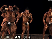 championship_uzbekistan_on_bodybuilding_and_fitness_2014_wbpf_234