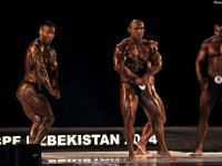 championship_uzbekistan_on_bodybuilding_and_fitness_2014_wbpf_275