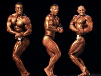 championship_uzbekistan_on_bodybuilding_and_fitness_2014_wbpf_323