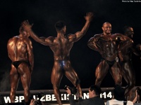 championship_uzbekistan_on_bodybuilding_and_fitness_2014_wbpf_354