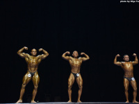 uzbekistan_gi_bodybuilding_fitness_championship_2019_uzfbf_00146