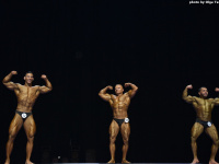 uzbekistan_gi_bodybuilding_fitness_championship_2019_uzfbf_00205