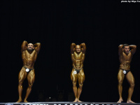 uzbekistan_gi_bodybuilding_fitness_championship_2019_uzfbf_00209