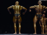 uzbekistan_gi_bodybuilding_fitness_championship_2019_uzfbf_00220