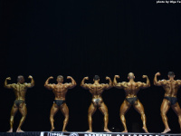 uzbekistan_gi_bodybuilding_fitness_championship_2019_uzfbf_00285
