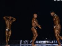 uzbekistan_gi_bodybuilding_fitness_championship_2019_uzfbf_00289