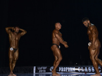 uzbekistan_gi_bodybuilding_fitness_championship_2019_uzfbf_00334