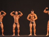 tashkent_bodybuilding_cup_2015_256