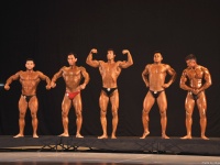 tashkent_bodybuilding_cup_2015_348