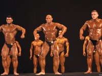 tashkent_bodybuilding_cup_2015_372