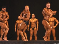 tashkent_bodybuilding_cup_2015_378