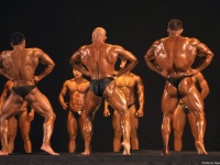 tashkent_bodybuilding_cup_2015_383