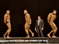 uzfbf_uzbekistan_cup_2016_bodybuilding_and_fitness_0174