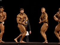 uzfbf_uzbekistan_cup_2016_bodybuilding_and_fitness_0228