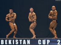 uazbekistan-cup-bodybuilding-and-fitness-championship-2017_0058