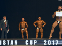 uazbekistan-cup-bodybuilding-and-fitness-championship-2017_0083