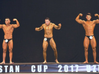 uazbekistan-cup-bodybuilding-and-fitness-championship-2017_0141
