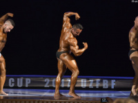 uazbekistan-cup-bodybuilding-and-fitness-championship-2017_0225