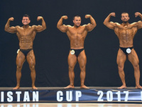 uazbekistan-cup-bodybuilding-and-fitness-championship-2017_0248