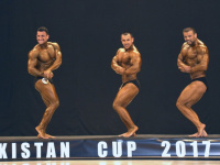 uazbekistan-cup-bodybuilding-and-fitness-championship-2017_0249