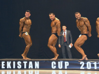 uazbekistan-cup-bodybuilding-and-fitness-championship-2017_0251