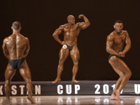 uazbekistan-cup-bodybuilding-and-fitness-championship-2017_0288