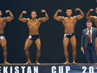 uazbekistan-cup-bodybuilding-and-fitness-championship-2017_0327