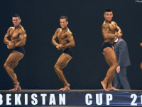 uazbekistan-cup-bodybuilding-and-fitness-championship-2017_0328