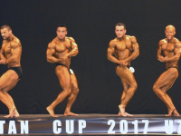 uazbekistan-cup-bodybuilding-and-fitness-championship-2017_0347