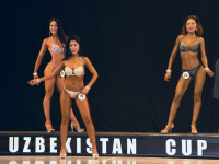 uazbekistan-cup-bodybuilding-and-fitness-championship-2017_0424