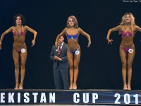 uazbekistan-cup-bodybuilding-and-fitness-championship-2017_0445