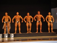 proform-classic-bodybuilding-show057